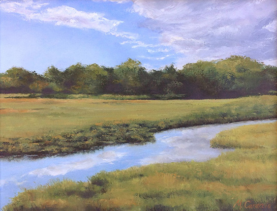 Marsh Meadows in Jamestown